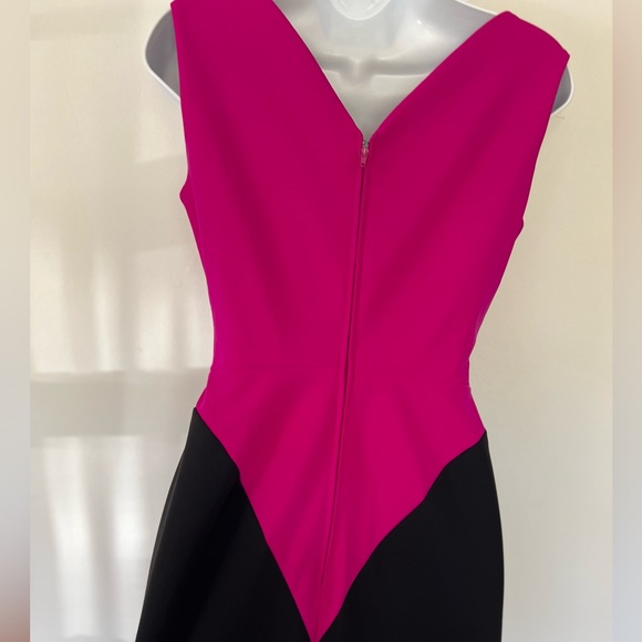 Greta Constantine color-block pink and black sexy Dress - Picture 11 of 15